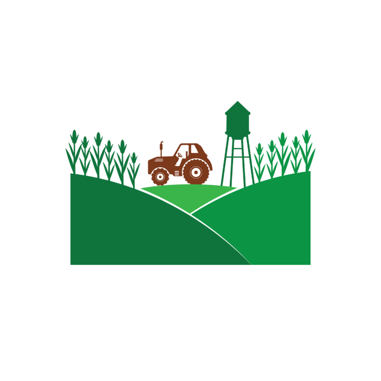 agriculture corn field